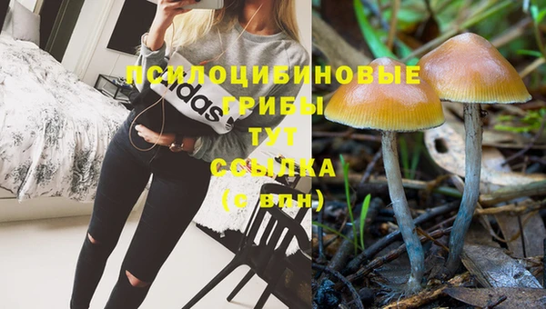 метамфетамин Алексин