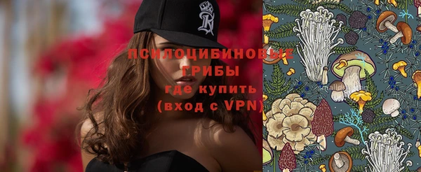 спиды Алексеевка
