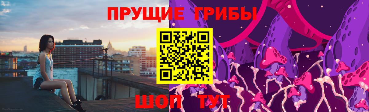 Белебей  Псилоцибиновые грибы Cubensis  Вход с VPN 